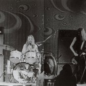 Krokodil - List pictures