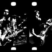 Quicksand - List pictures