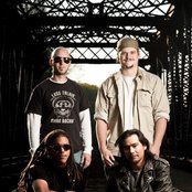 Pale Discretion - List pictures