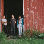 Braids - List pictures