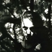 This Ascension - List pictures