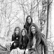 Spirogyra - List pictures