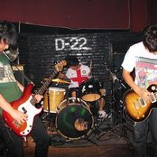 Birdstriking - List pictures