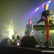 Crossbreed - List pictures