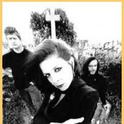 Concrete Blonde - List pictures
