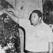 Lee Moses - List pictures