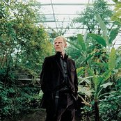 Junkie Xl - List pictures