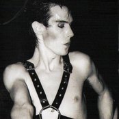 Peter Murphy - List pictures
