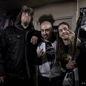 Falconer - List pictures