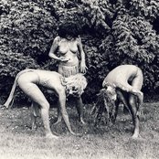 Slits - List pictures