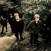 The Coral - List pictures