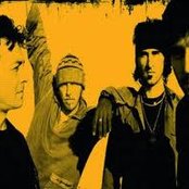 Negrita - List pictures