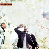 Team Sleep - List pictures