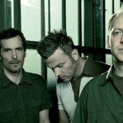 Camouflage - List pictures