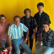 Beach Boys - List pictures