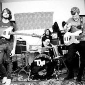 Dinosaur Pile-up - List pictures