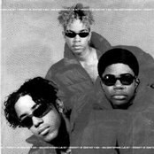 Immature - List pictures