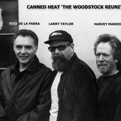 Canned Heat - List pictures