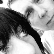 Carter Tutti - List pictures