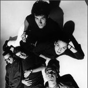 Velocity Girl - List pictures