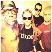 Offspring - List pictures