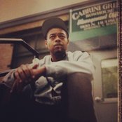 Tree - List pictures