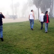 Greenleaf - List pictures