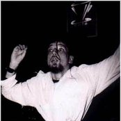 Bad Acid Trip - List pictures