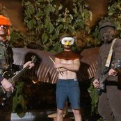 Bear Attack - List pictures