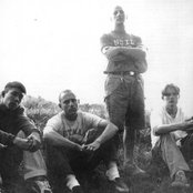 Shelter - List pictures