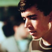 Yellow Ostrich - List pictures