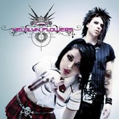 Helalyn Flowers - List pictures