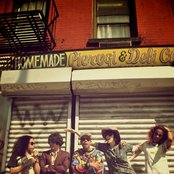 The Skins - List pictures