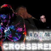 Crossbreed - List pictures