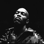 Sticky Fingaz - List pictures