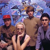 Go-betweens - List pictures