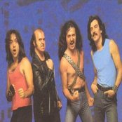 Sherpa - List pictures