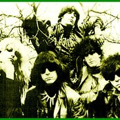 The Fuzztones - List pictures