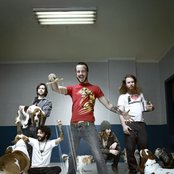 Protest The Hero - List pictures