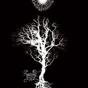 Velnias - List pictures