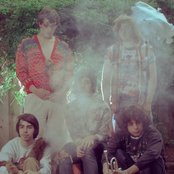 White Fang - List pictures