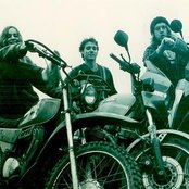 Spiderbait - List pictures