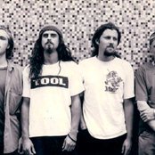 Peach - List pictures