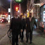 The Lions - List pictures