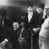 Blondie - List pictures
