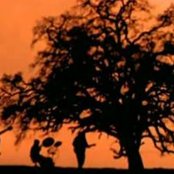 Primus - List pictures