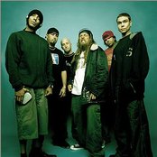 Hed Pe - List pictures