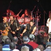 Praying Mantis - List pictures