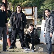 Hale - List pictures