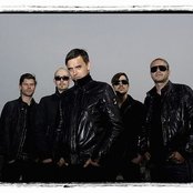 Nephew - List pictures